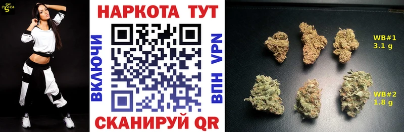 Галлюциногенные грибы Новошахтинск