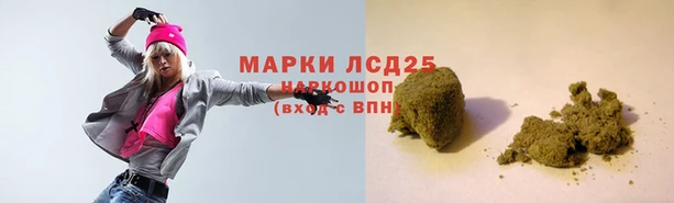 спайс Кодинск