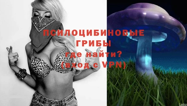 спайс Кодинск