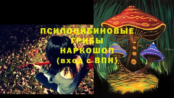 спайс Кодинск